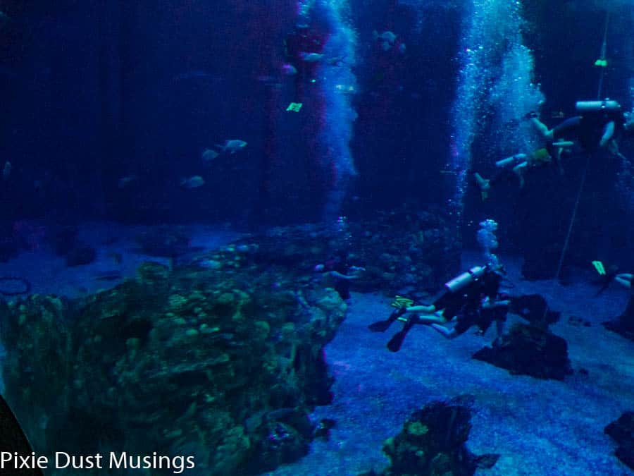 DiveQuest at Walt Disney World