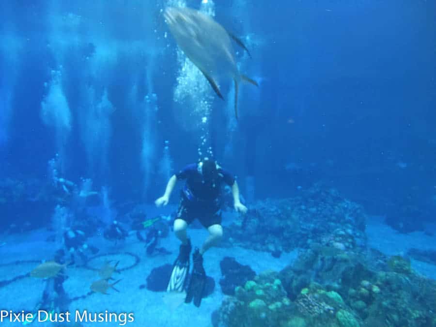 diver at Walt Disney World's Epcot