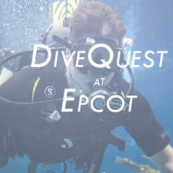 Epcot’s DiveQuest: A Review