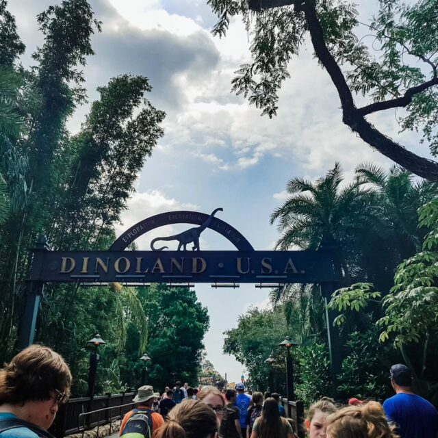 Goodbye, Dinoland 🦕🦖🦕🦴🦴🍖🦕

I may have been in the minority, but I loved Dinoland. I loved the concept, and I always felt like Disney could have leaned harder into it. But it just wasn't meant to last, I guess. I'm curious to see  what the new experience will be in real life, and the concept art looked pretty cool 

#disneyworld #dinolandusa #dinoland #waltdisneyworld